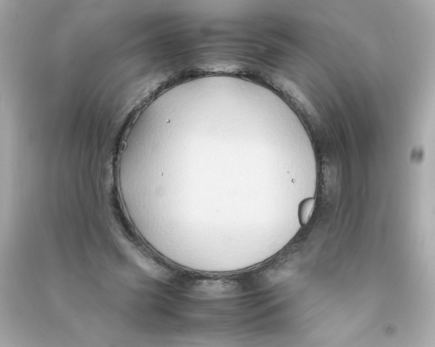 X0000090490541200708102221