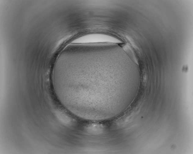 X0000090490543200708102221