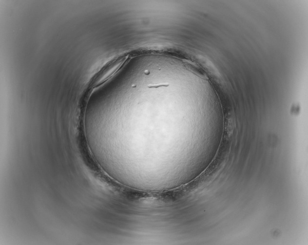 X0000090490544200708102221