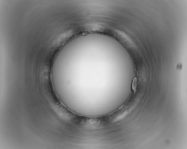 X0000090490546200708102221