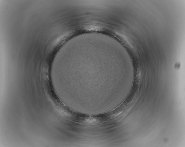 X0000090490547200708102221