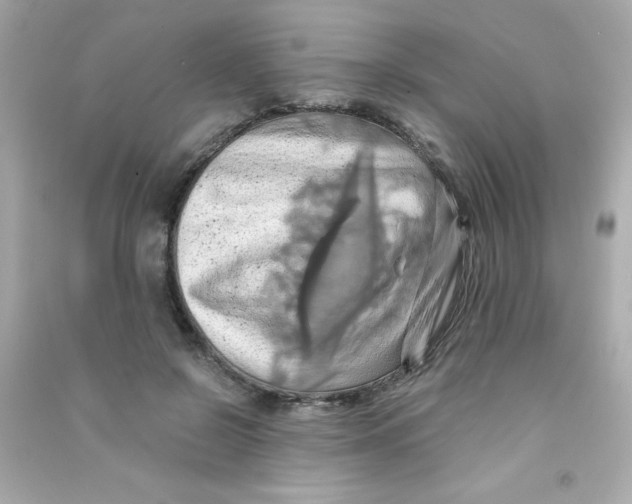 X0000090490550200708102221