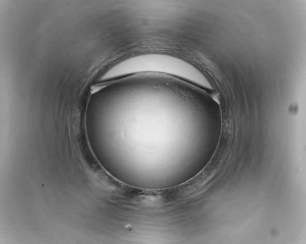 X0000090490552200708102221