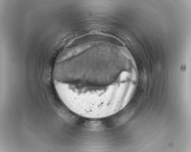 X0000090490554200708102221