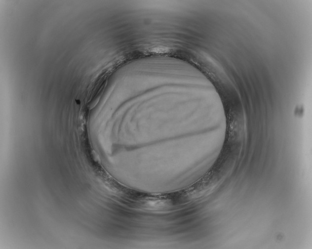 X0000090490555200708102221