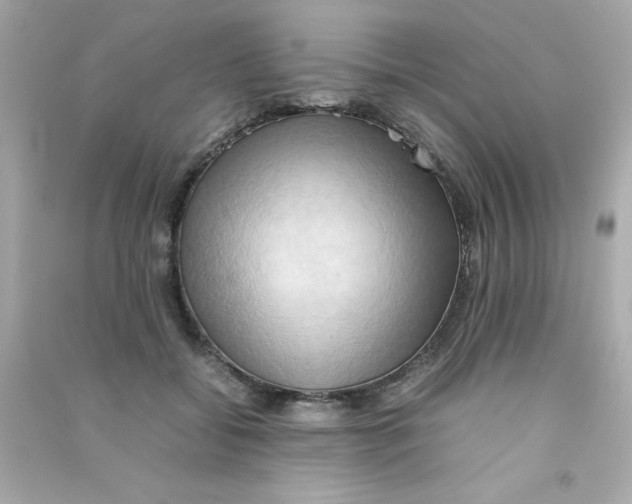 X0000090490556200708102221