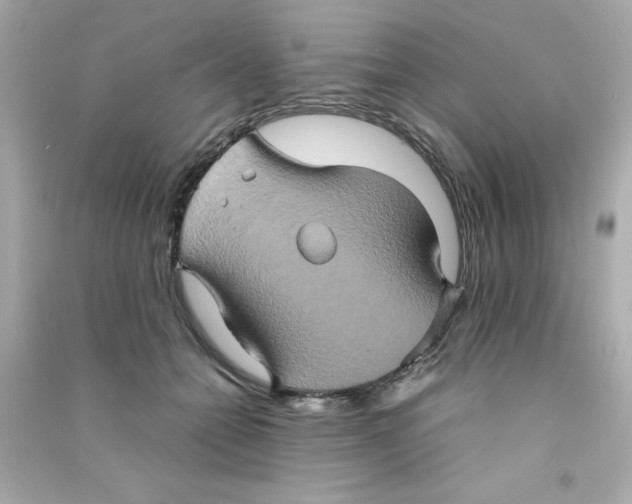 X0000090490558200708102221