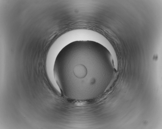 X0000090490560200708102221