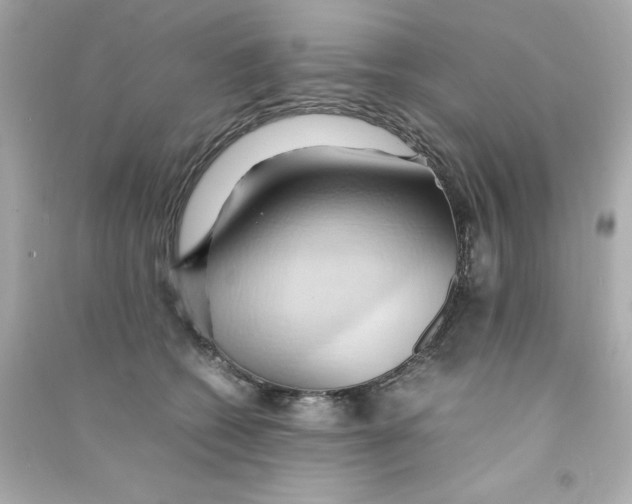 X0000090490562200708102221