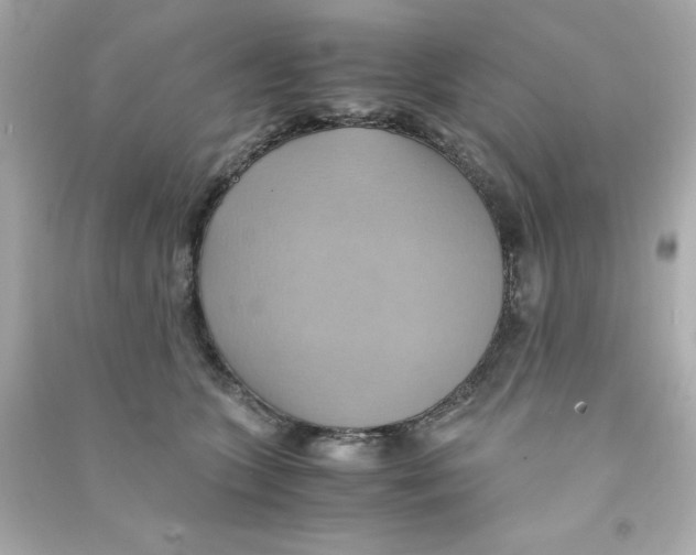 X0000090490563200708102221