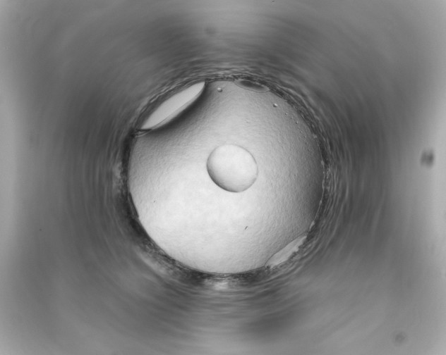 X0000090490564200708102221