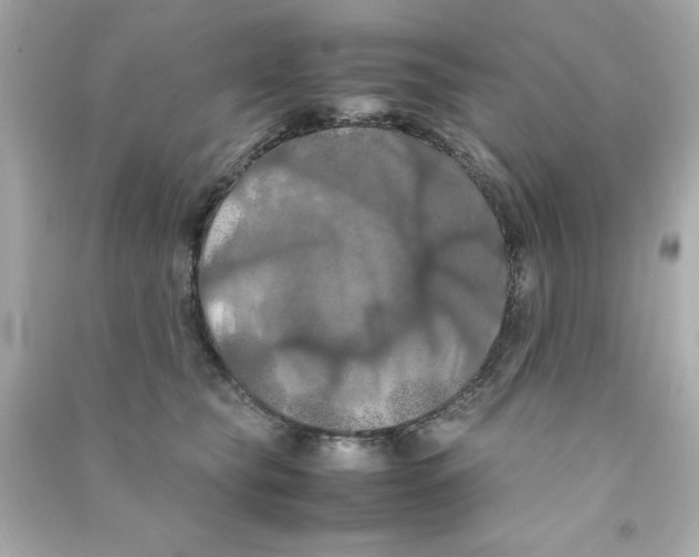 X0000090490565200708102221