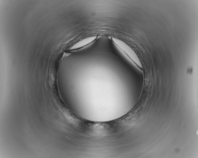 X0000090490566200708102221