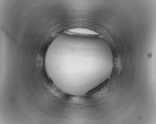 X0000090490568200708102221