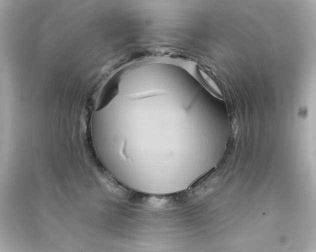 X0000090490570200708102221