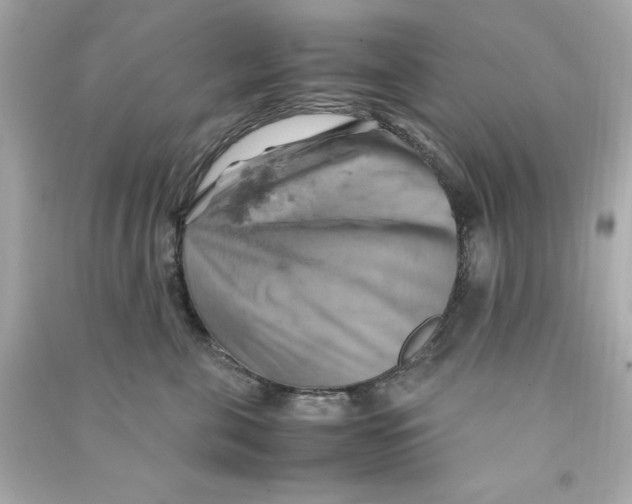 X0000090490571200708102221