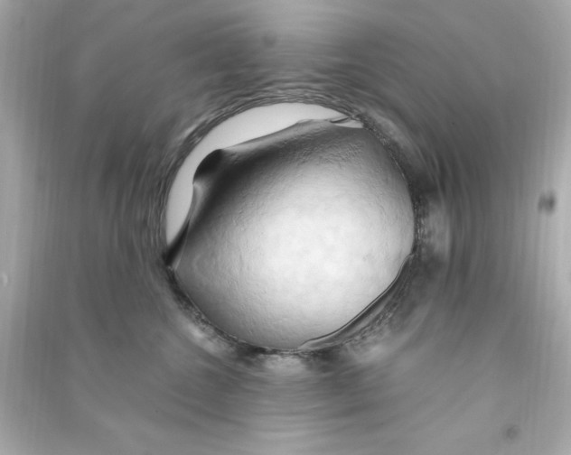 X0000090490572200708102221