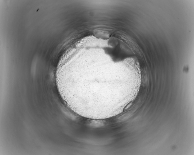 X0000090490573200708102221