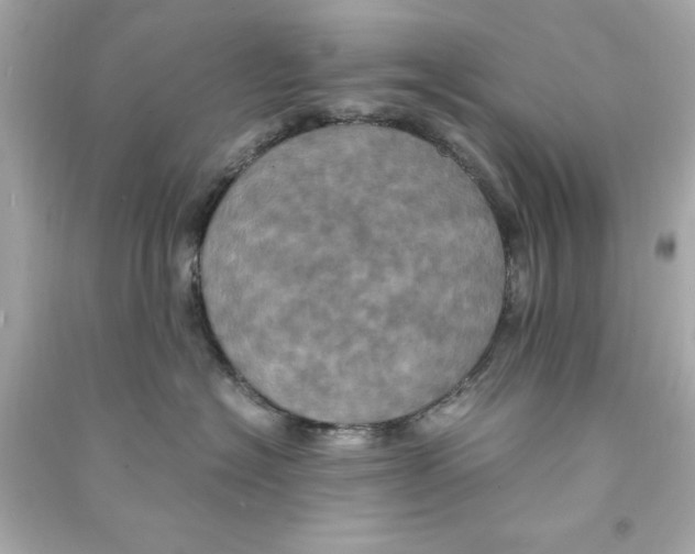 X0000090490574200708102221