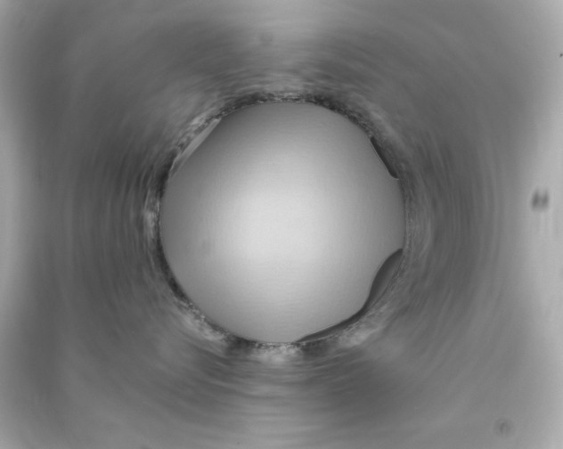 X0000090490576200708102221