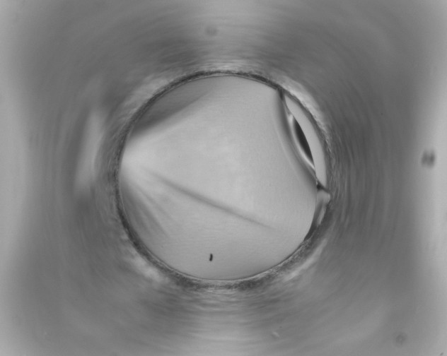 X0000090490577200708102220