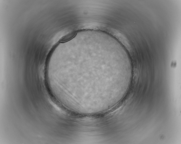 X0000090490578200708102220