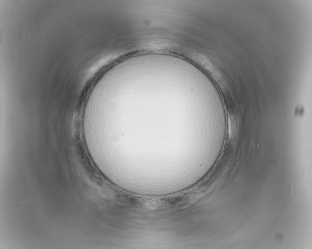 X0000090490579200708102220