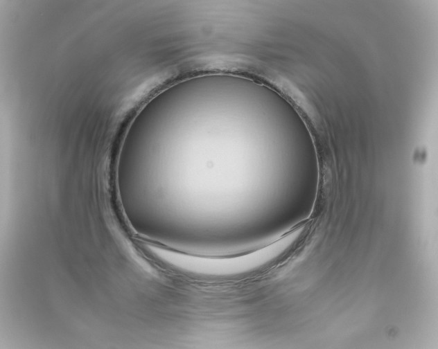 X0000090490581200708102220