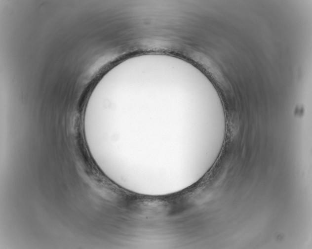 X0000090490583200708102220