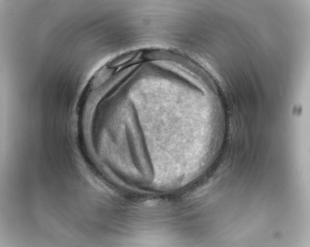 X0000090490584200708102220