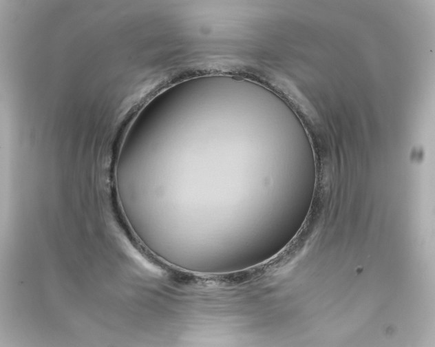 X0000090490585200708102220