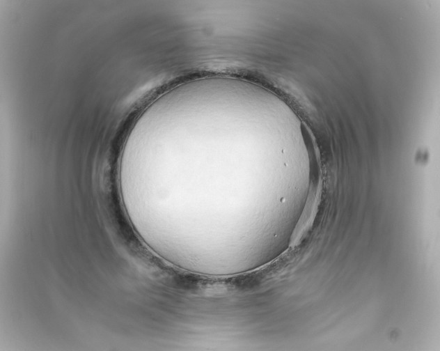 X0000090490587200708102220