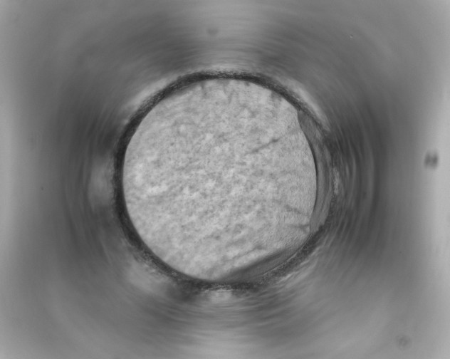 X0000090490588200708102220