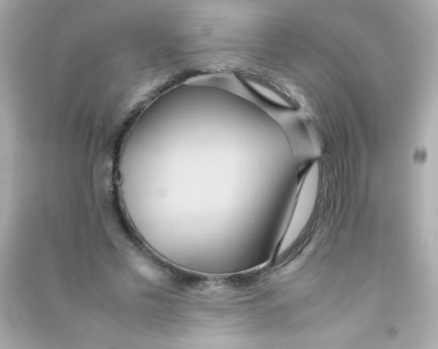 X0000090490589200708102220