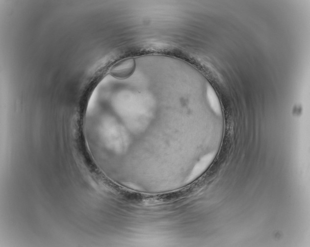 X0000090490591200708102220