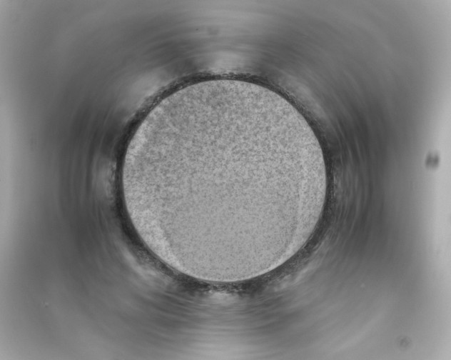 X0000090490592200708102220