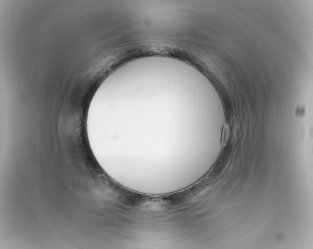 X0000090490595200708102220