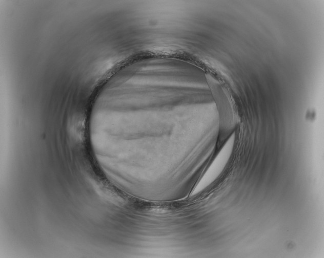 X0000090490596200708102220