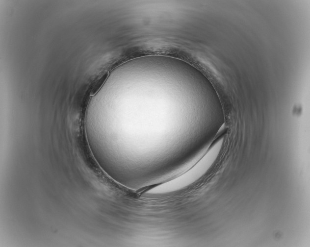 X0000090490597200708102220