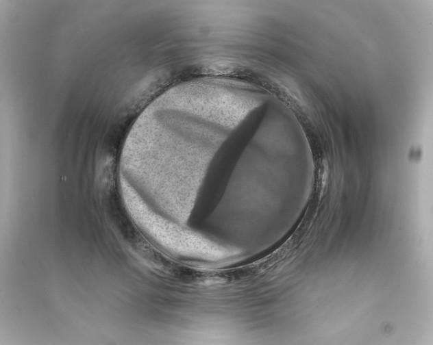 X0000090490598200708102220