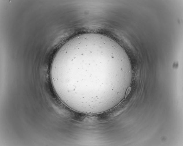 X0000090490599200708102220