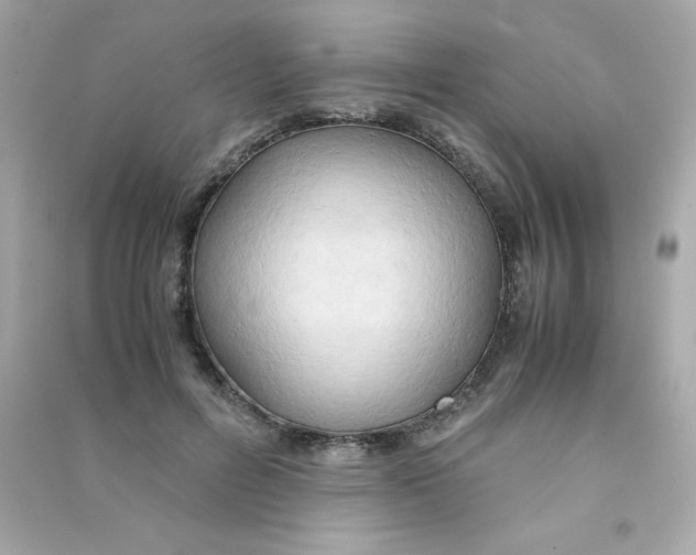 X0000090490600200708102220