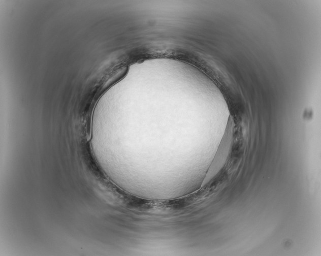 X0000090490601200708102220