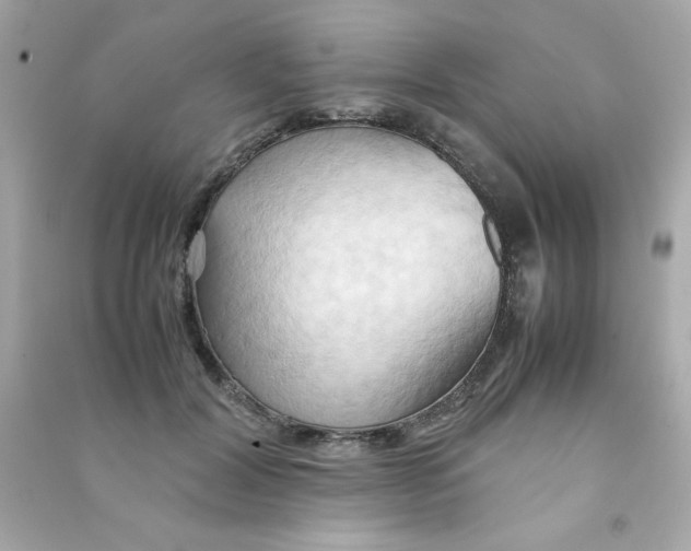 X0000090490604200708102220