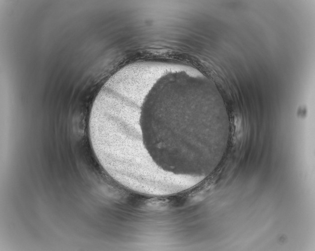 X0000090490606200708102220