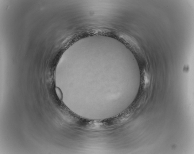 X0000090490607200708102220