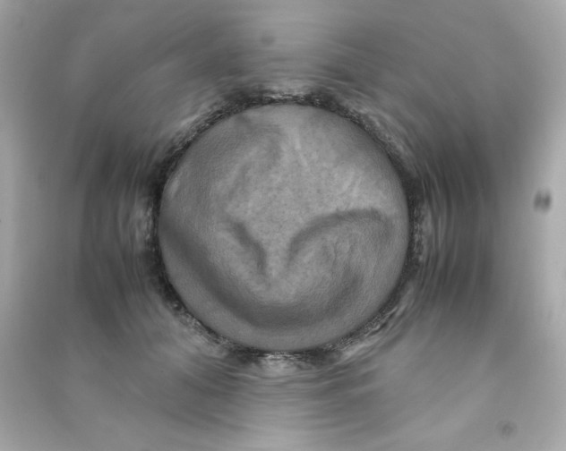 X0000090490608200708102220