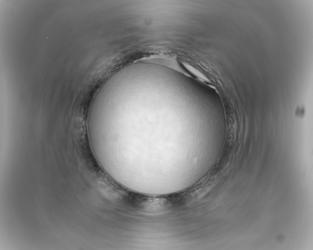 X0000090490609200708102220