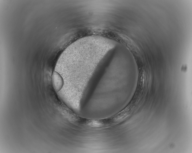 X0000090490610200708102220