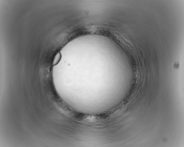 X0000090490611200708102220